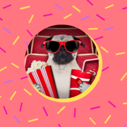 en hund som har på solbriller og holder popcorn og brus med potene. Bakgrunnen er tuttifrutti