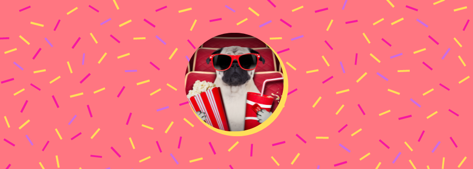 en hund som har på solbriller og holder popcorn og brus med potene. Bakgrunnen er tuttifrutti